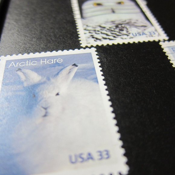 Arctic Animals - Recycled Postage Stamp Framed Art 3.5"x5", Gray Wolf, Arctic Fo - Picture 2 of 3